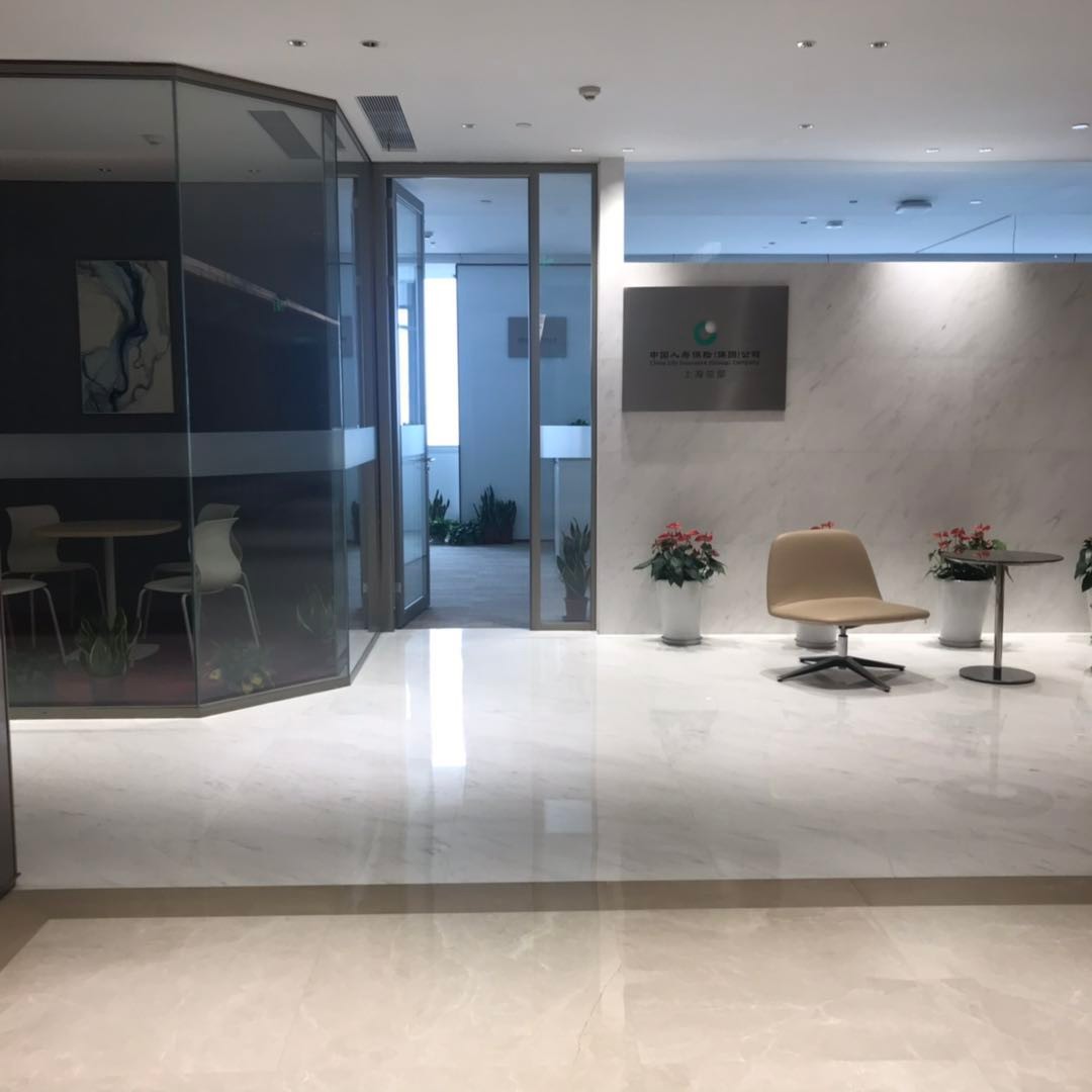 中國(guó)人壽金融中心