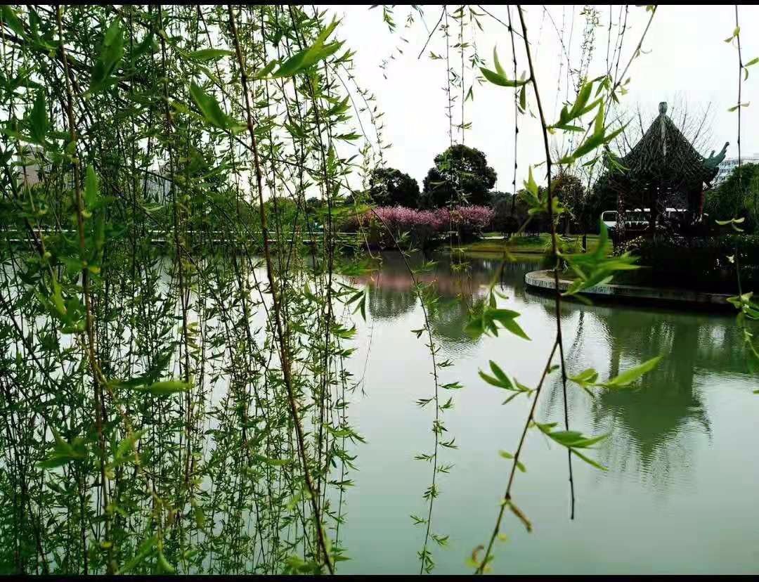 中興智慧園