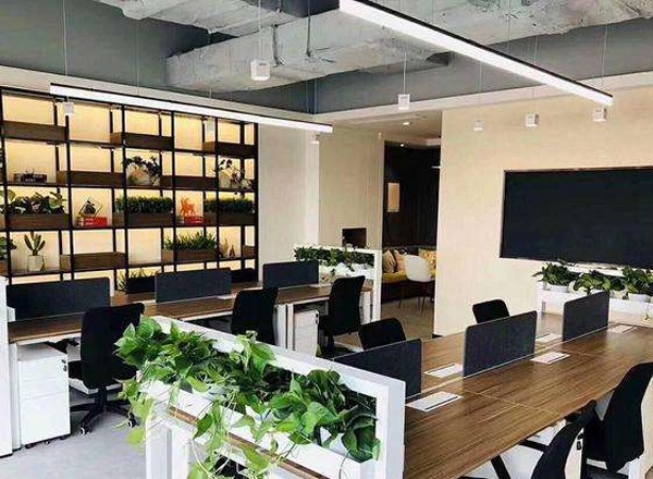 八號(hào)橋五期1