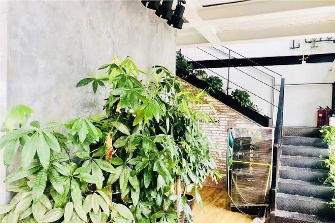 西岸創(chuàng)意園1