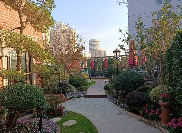 新發(fā)現(xiàn)夢園