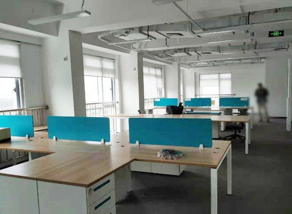 慧谷白貓科技園