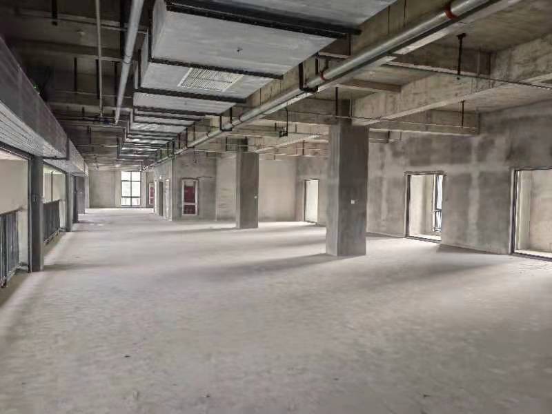 張江機(jī)器人谷