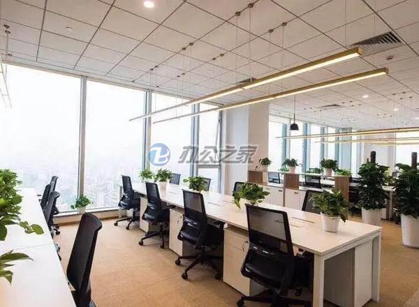 白玉蘭廣場(chǎng)(金光中心)