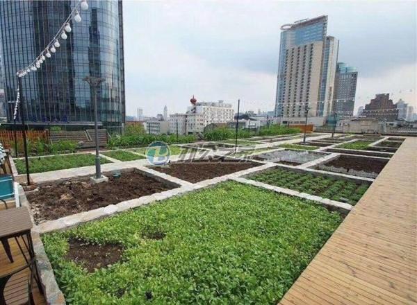 瑞閣壹號(北外灘111藝術(shù)園)