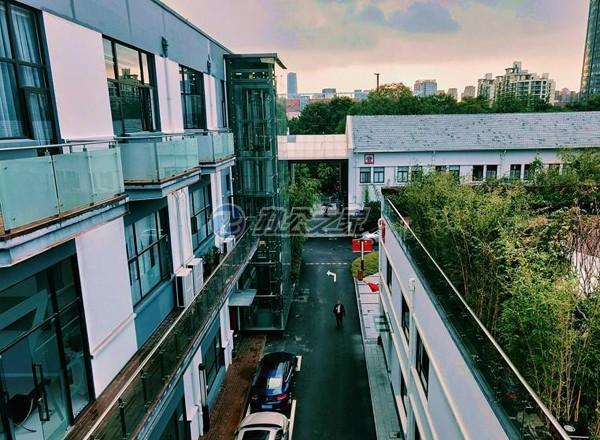 ENJOY趣辦·白玉蘭