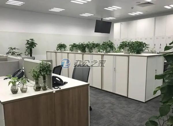 白玉蘭環(huán)保廣場