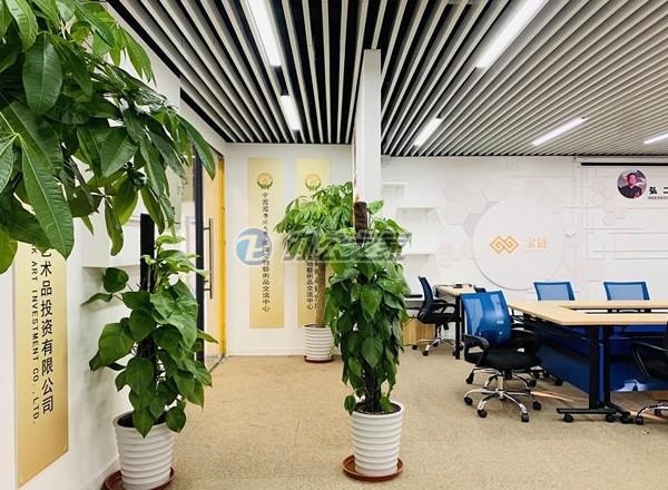 越界絲騰光華酷