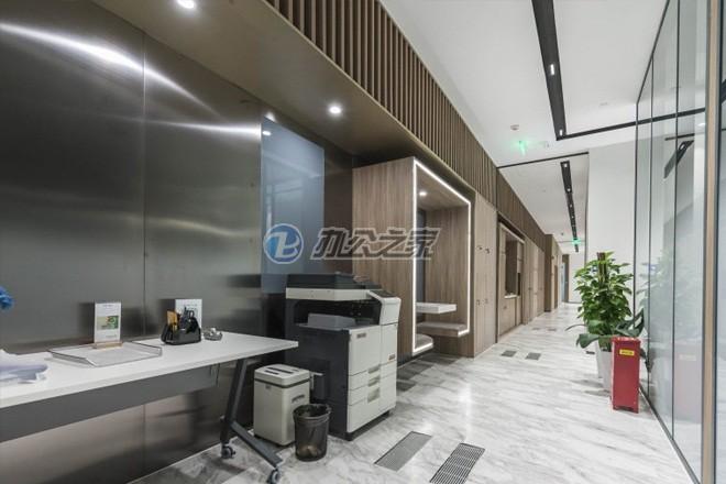 Distrii辦伴（聯(lián)創(chuàng)國際）