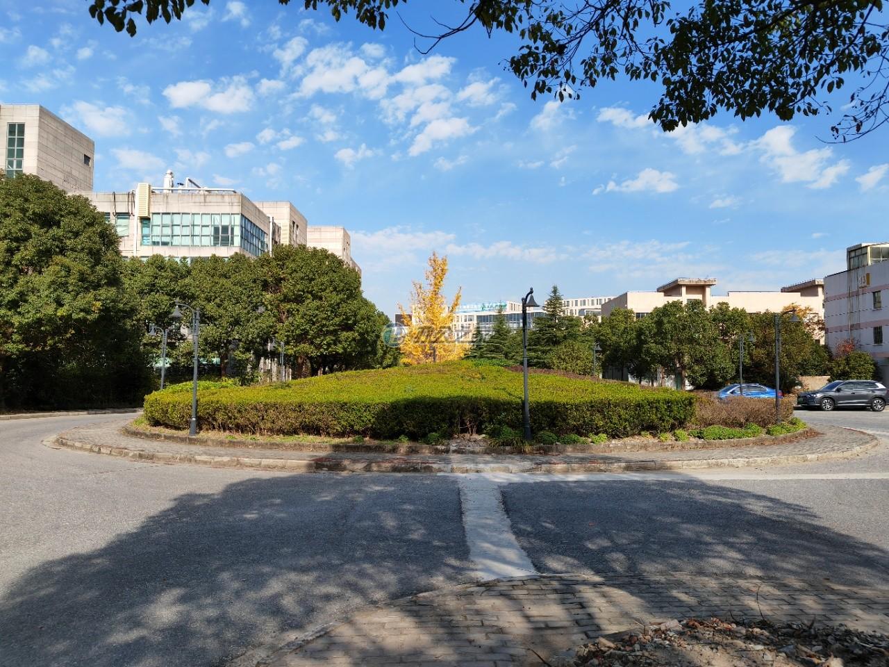 張江醫(yī)療器械園