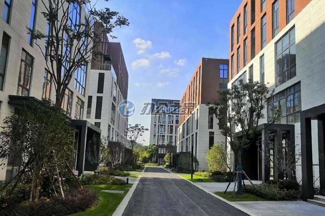 派米雷佘山智地